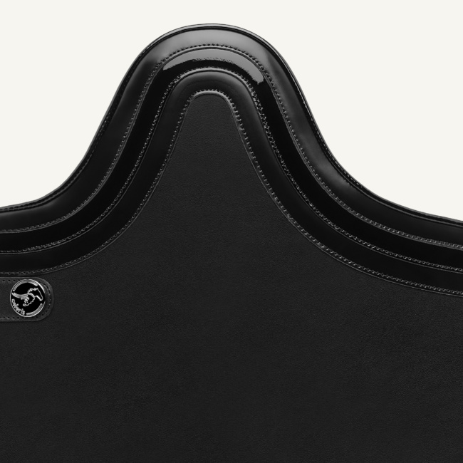 Triple Band Logo Back