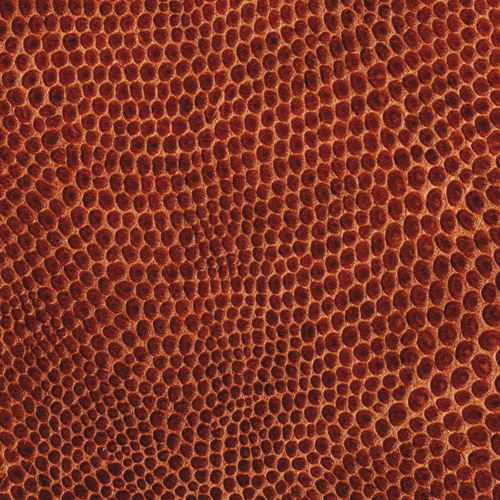 Tan Faux Gecko(*)