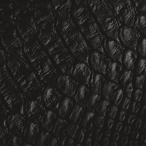 Black Faux Iguana(*)