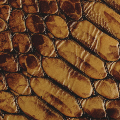 Brown Faux Iguana(*)