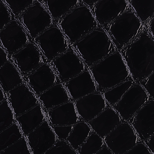 Black Faux Croc Gloss(*)