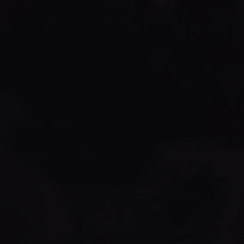 Black Gloss(*)