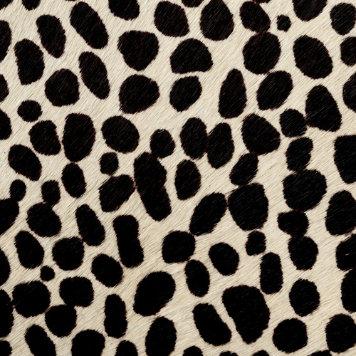 Faux Baby Girafe(*)