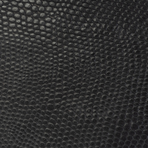 Black Faux Gecko(*)