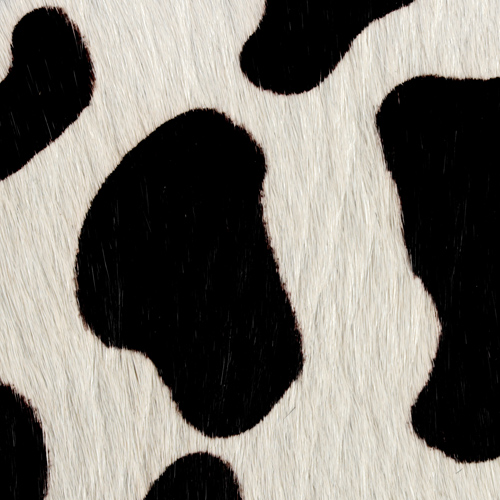 Hairy Faux Cow(*)
