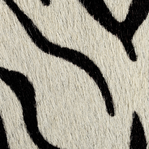 Hairy Faux Zebra(*)