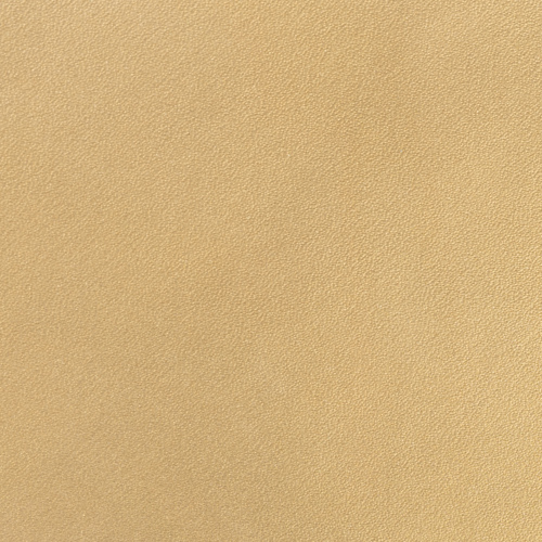Solid Gold Gloss(*)