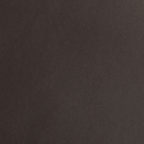 Violet Grey